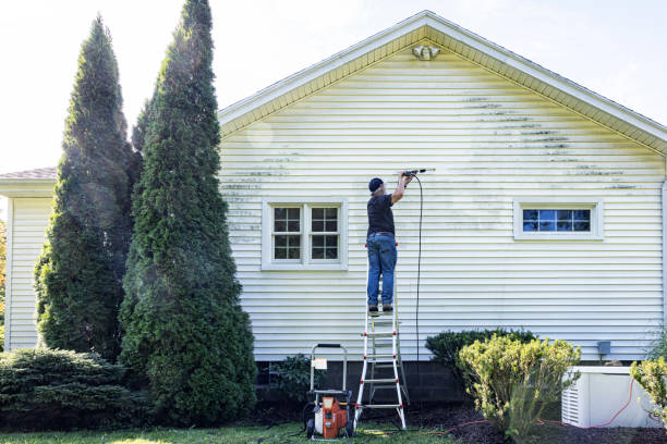 Best Driveway Pressure Washing  in Ellwood City, PA